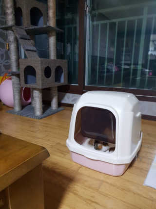 클랑유님이 올린 리뷰 사진 1