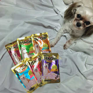 [펫토리아] 토로토로 하치  강아지 파우치간식 — 5점을 준 리뷰어가 2019년 6월 올린 사용 사진