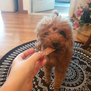 유나님이 올린 리뷰 사진 1