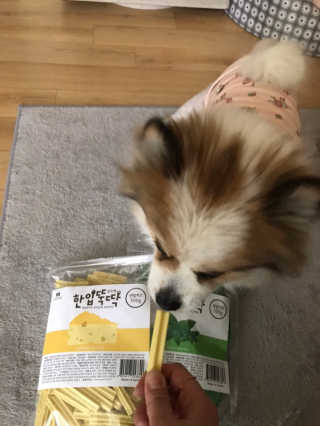 [펫토리아] BEST 한입뚝딱 실속형 강아지 덴탈껌 — 5점을 준 리뷰어가 2019년 2월 올린 사용 사진