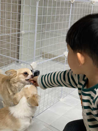 호진이맘♡님이 올린 리뷰 사진 2