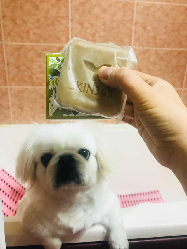 [버블부들] 반려동물 아로마 천연비누 리뷰 사진