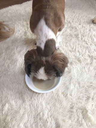 니니언니님이 올린 리뷰 사진 3