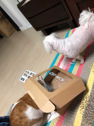 mia1205님이 올린 리뷰 사진 3