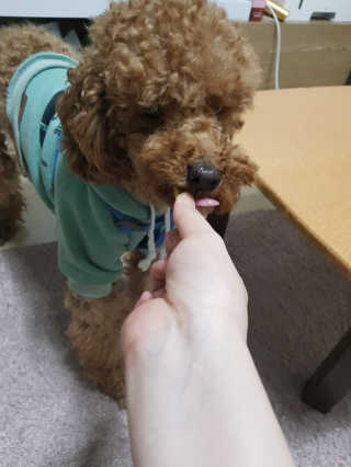 임미경님이 올린 리뷰 사진 2