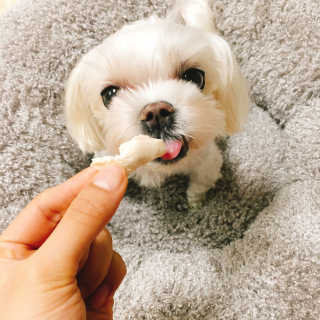 조영애님이 올린 리뷰 사진 3