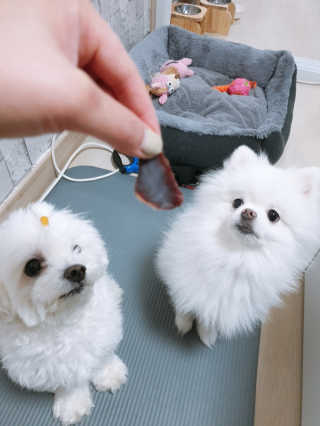 황선아님이 올린 리뷰 사진 2