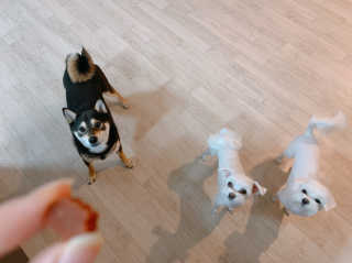꾸딩님이 올린 리뷰 사진 2