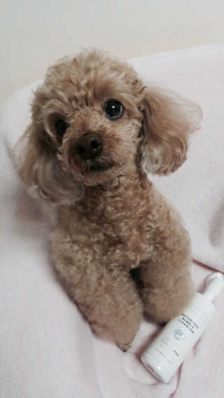 주아맘님이 올린 리뷰 사진 2