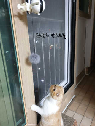 라니라니님이 올린 리뷰 사진 1