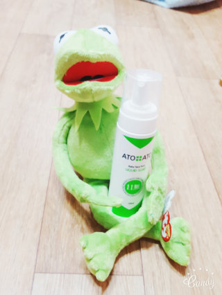 써노01님이 올린 리뷰 사진 2