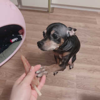 Jvely님이 올린 리뷰 사진 2