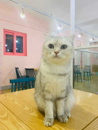 밍또님이 올린 리뷰 사진 2