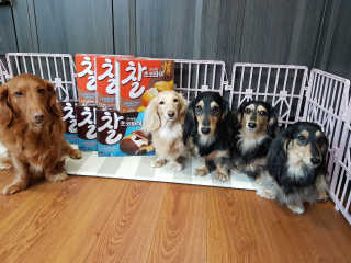 5_daks님이 올린 리뷰 사진 4