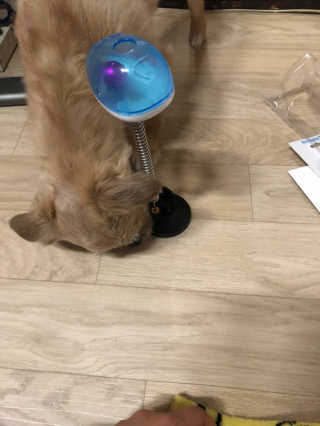 조원화님이 올린 리뷰 사진 3
