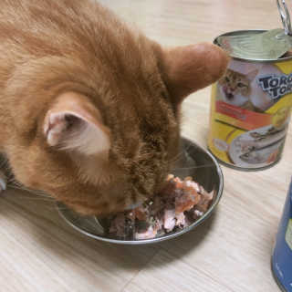 단이님이 올린 리뷰 사진 2
