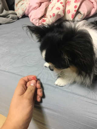 히주님이 올린 리뷰 사진 2