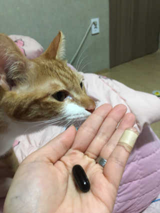 네츄럴굿띵스 오!메가루테인 60일분 — 5점을 준 리뷰어가 2018년 4월 올린 사용 사진