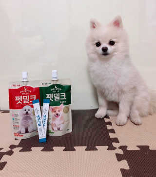 [빙그레] 에버그로 생유산균 1봉（10포입）+펫밀크2팩 — 5점을 준 리뷰어가 2019년 3월 올린 사용 사진
