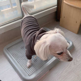 챔미님이 올린 리뷰 사진 3