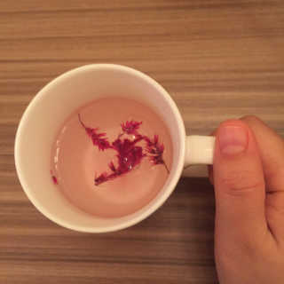 sweet1234님이 올린 리뷰 사진 4