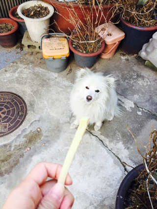 이민하님이 올린 리뷰 사진 1