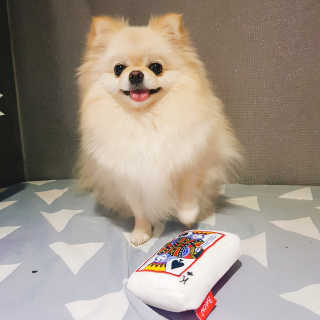 김하늘님이 올린 리뷰 사진 1