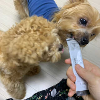 jen님이 올린 리뷰 사진 1