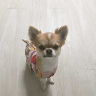 JiyeonYu님이 올린 리뷰 사진 3