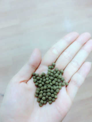 최자영님이 올린 리뷰 사진 4
