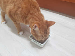 YejinKim님이 올린 리뷰 사진 2