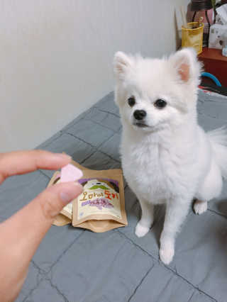 EunjuShin님이 올린 리뷰 사진 1