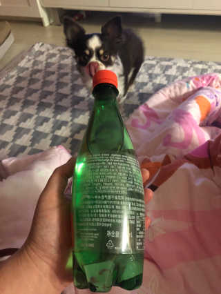 페리에 피치 500ml PET — 5점을 준 리뷰어가 2019년 11월 올린 사용 사진