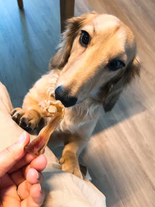 bora6943님이 올린 리뷰 사진 1