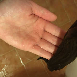 호바라기님이 올린 리뷰 사진 2
