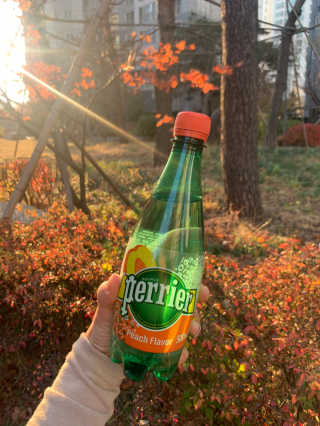 이은님이 올린 리뷰 사진 1