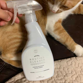 지나조이님이 올린 리뷰 사진 2