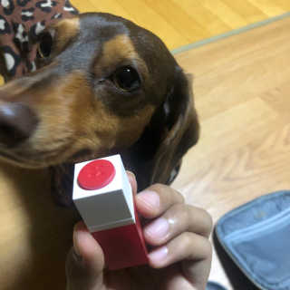 밍라맘님이 올린 리뷰 사진 1