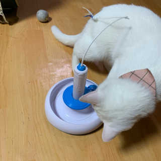 쮸야님이 올린 리뷰 사진 1