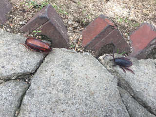 yaming20님이 올린 리뷰 사진 2