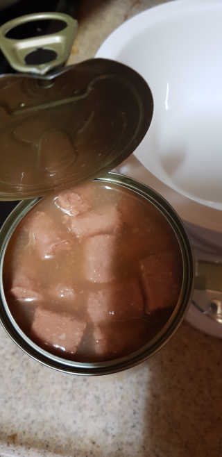 [펫토리아]배피 고양이,빌리강아지 대용량주식캔 — 4점을 준 리뷰어가 2019년 7월 올린 사용 사진