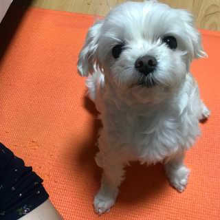 🦄행운의여신유니콩🦄님이 올린 리뷰 사진 3