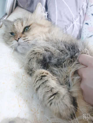 김한솔님이 올린 리뷰 사진 3