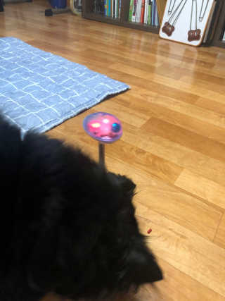 DaKeunSong님이 올린 리뷰 사진 4