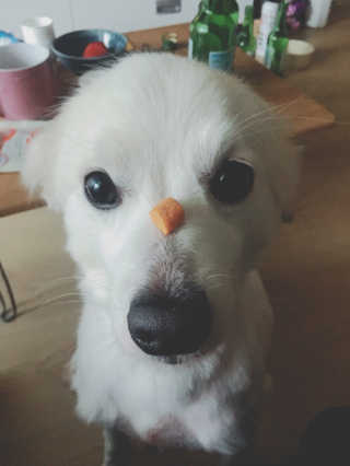 young님이 올린 리뷰 사진 1
