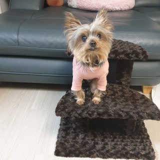 #블로거님이 올린 리뷰 사진 3