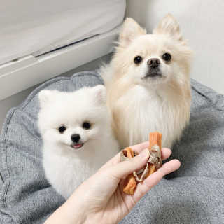 콩두부자매님이 올린 리뷰 사진 2