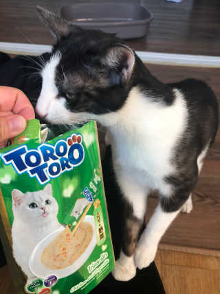 콩별님이 올린 리뷰 사진 3