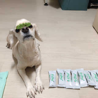 쏘옹님이 올린 리뷰 사진 1