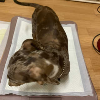 풀희띠님이 올린 리뷰 사진 4